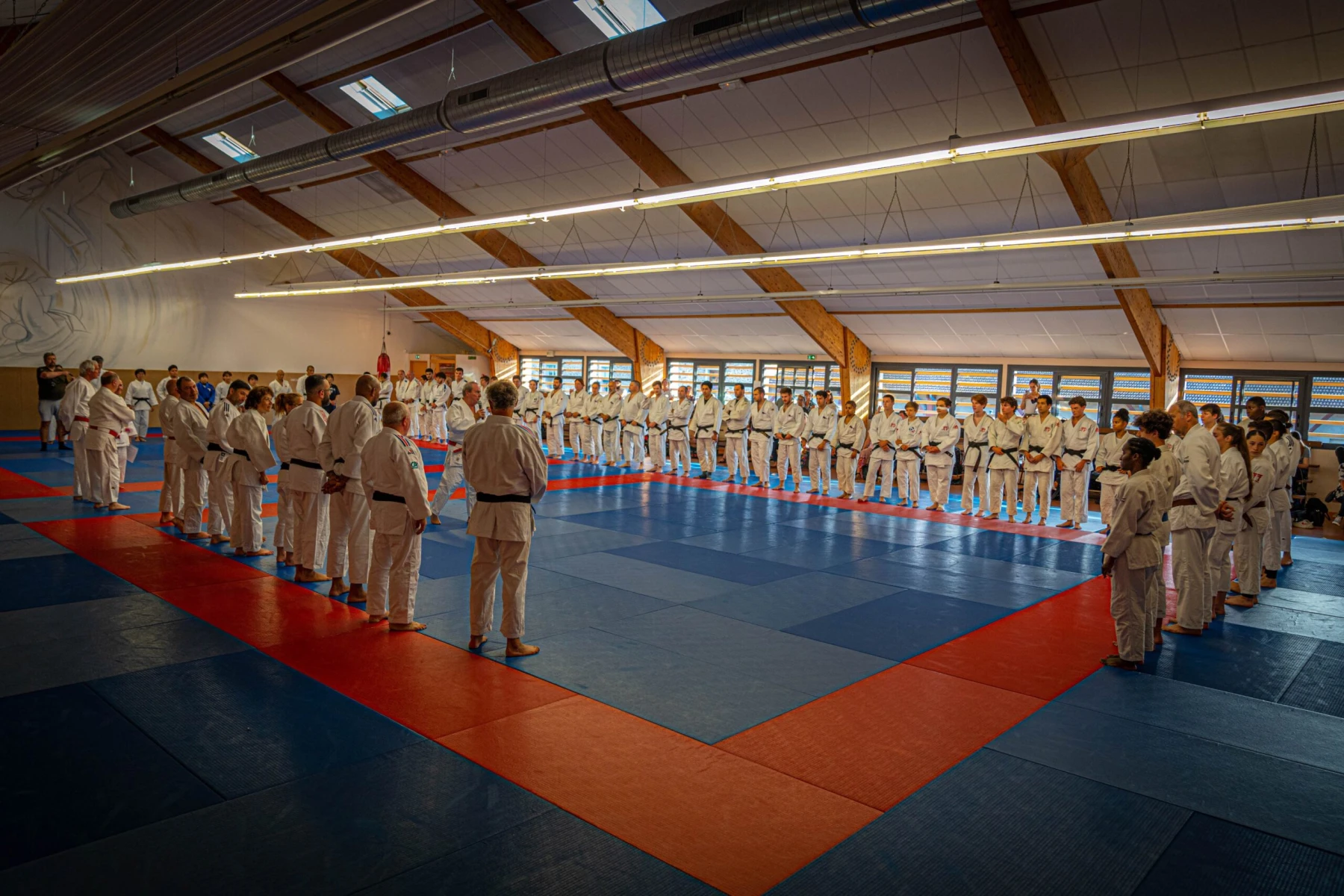 Grande assemblée de judokas dans un dojo pour une séance d'entraînement.