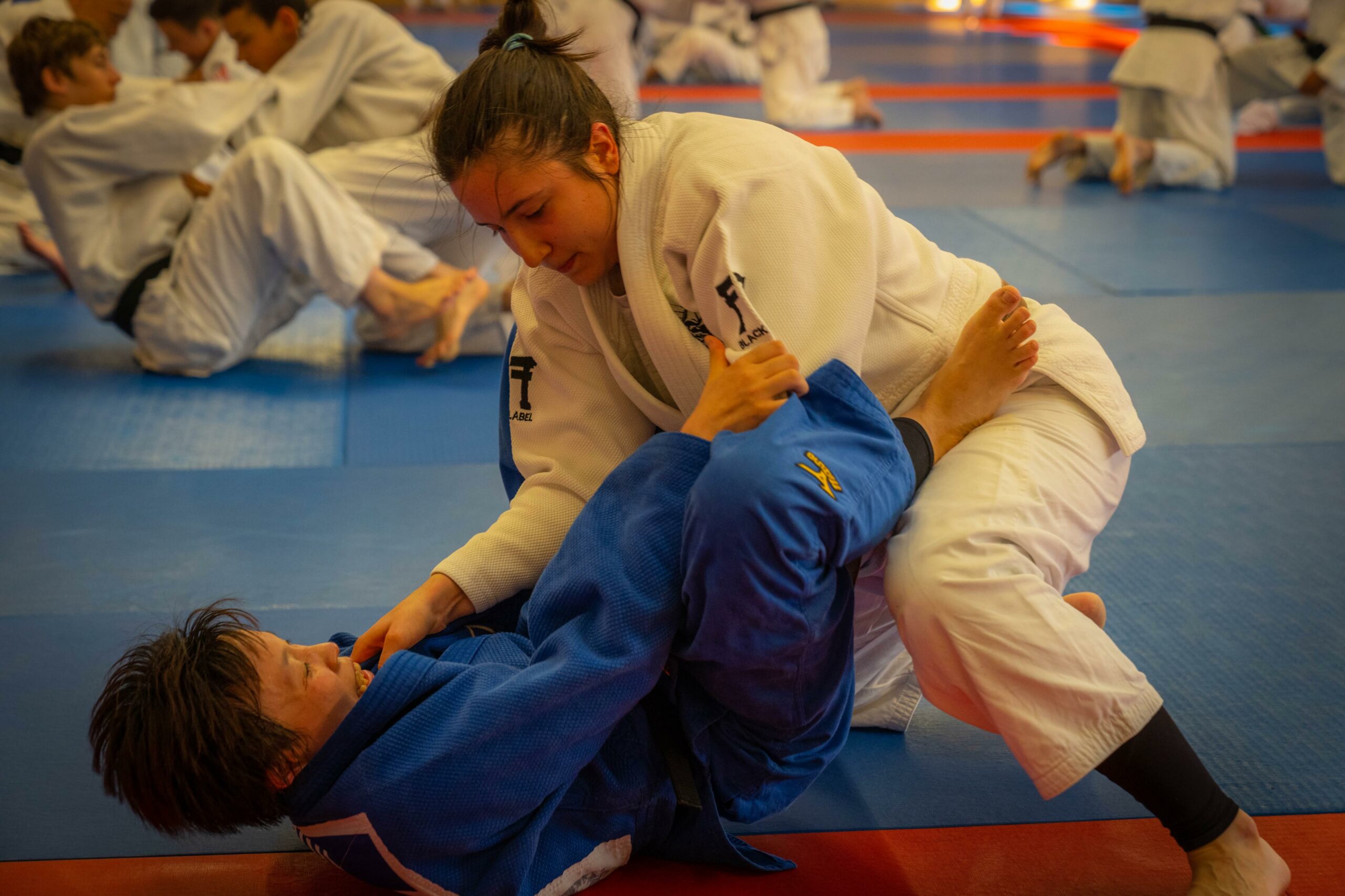 Judoka en gi blanc face à un adversaire en gi bleu pendant un exercice au sol.